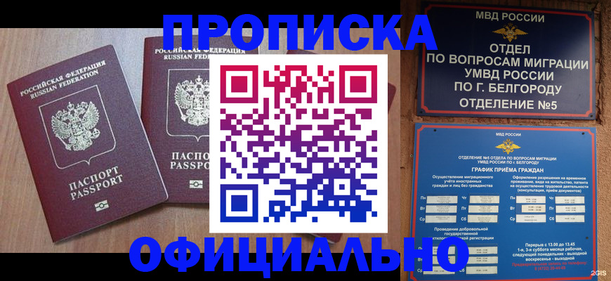 найти адрес прописки в Волоколамске